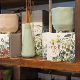 Home Fragrance