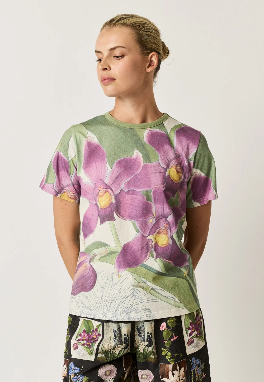 Apollo Tee Bollea Orchid