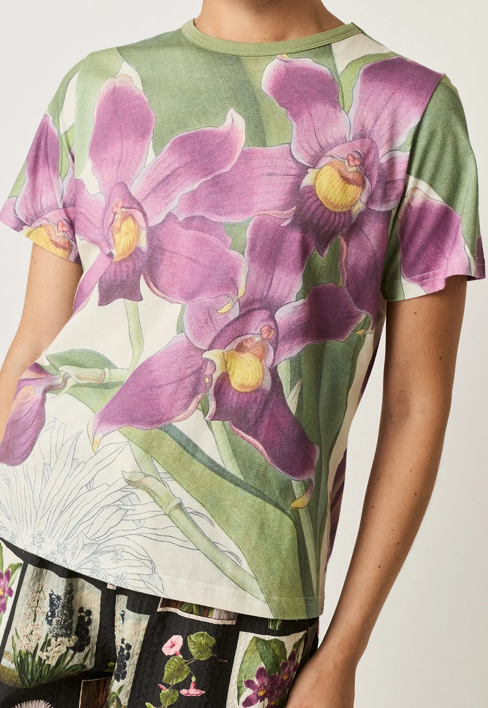 Apollo Tee Bollea Orchid