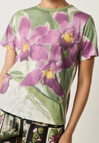 Apollo Tee Bollea Orchid