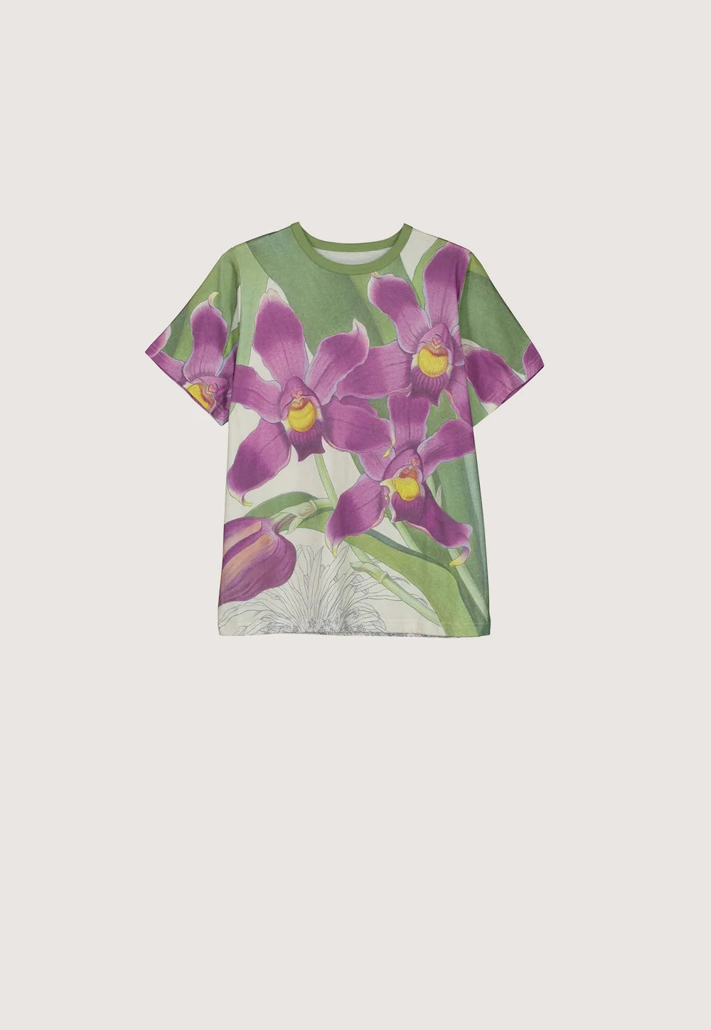 Apollo Tee Bollea Orchid