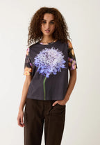 Grace Tee Allium