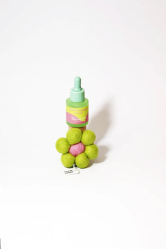 Bloom Wild Frangipani & Rose Air Freshener