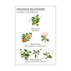 Panier des Sens Orange Blossom Hand Cream